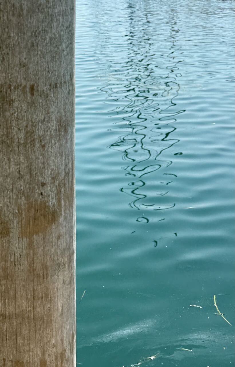 Ripples in the Water Against a Menemsha Dock